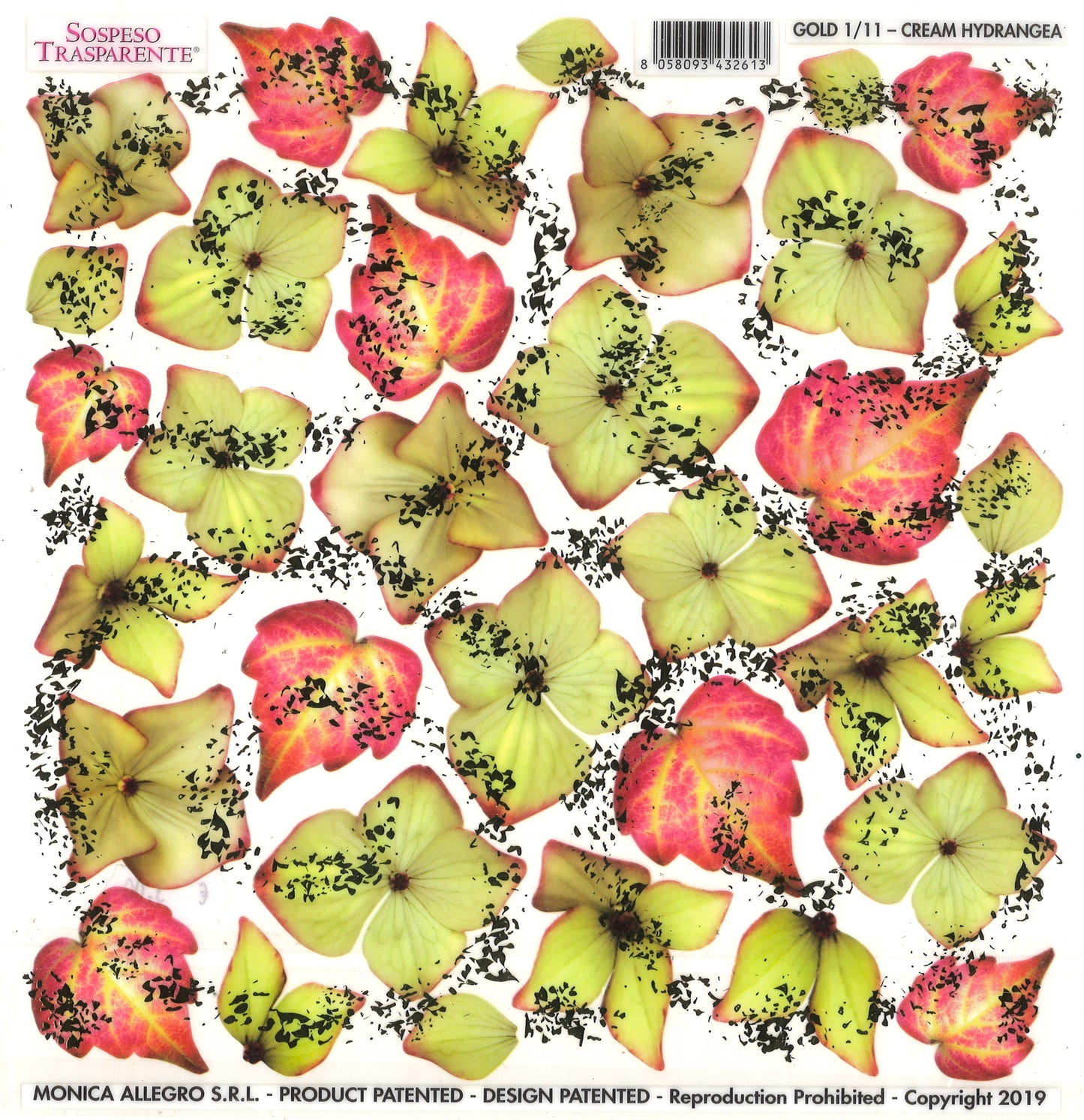 Sospeso Trasparente Pellicola 1/11 Gold Cream Hydrangea