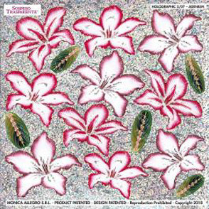 Sospeso Trasparente Pellicola 2/07 Olografica Adenium