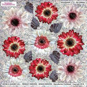 Sospeso Trasparente Pellicola 2/10 Olografica Red Gerbera