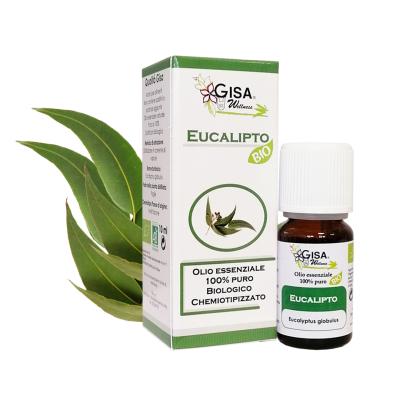 Gisa Welness Olio Essenziale Biologico Eucalipto 10 ml