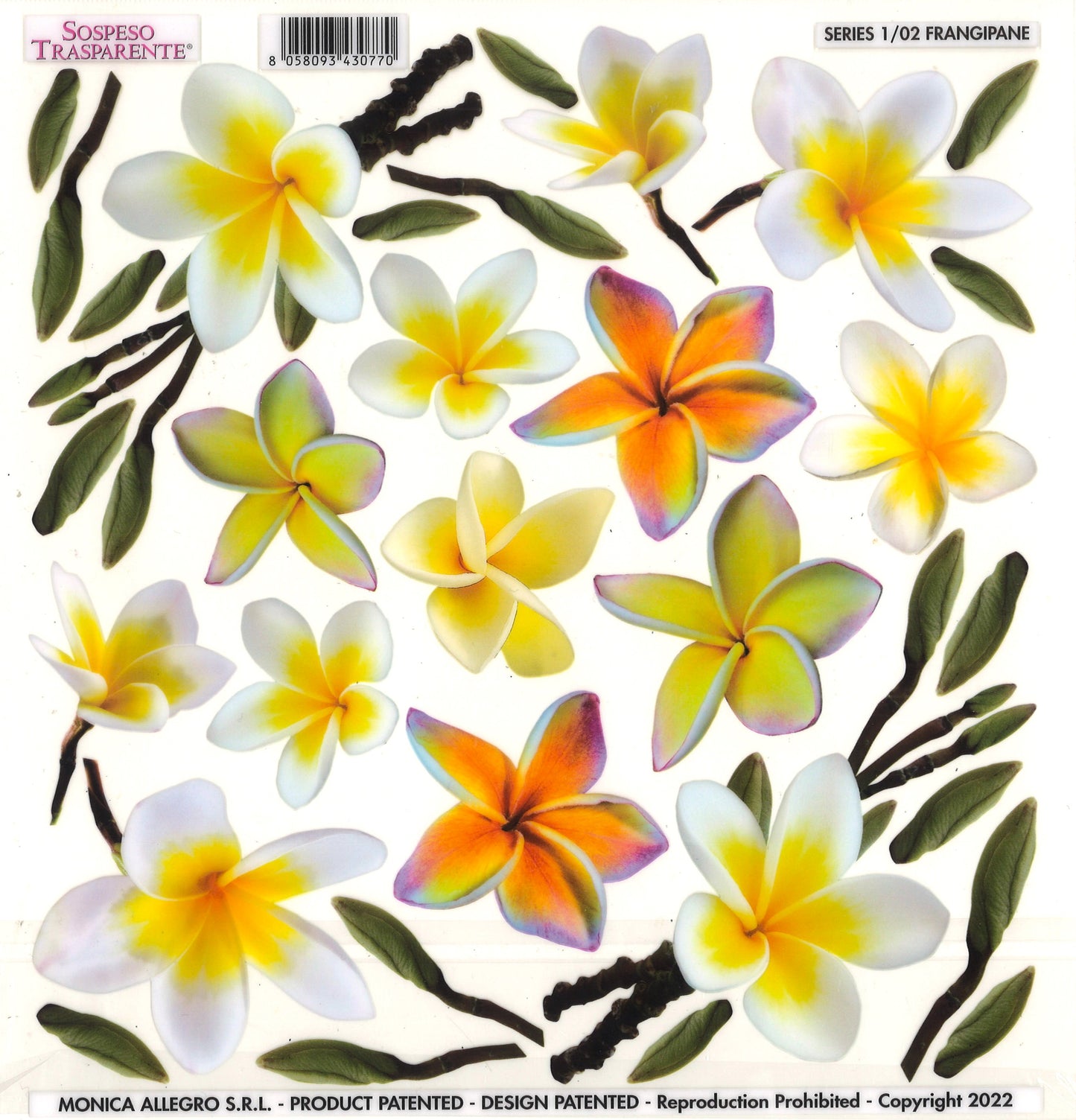 Sospeso Trasparente Pellicola Standard Serie 1 - 02 - Modello Frangipane