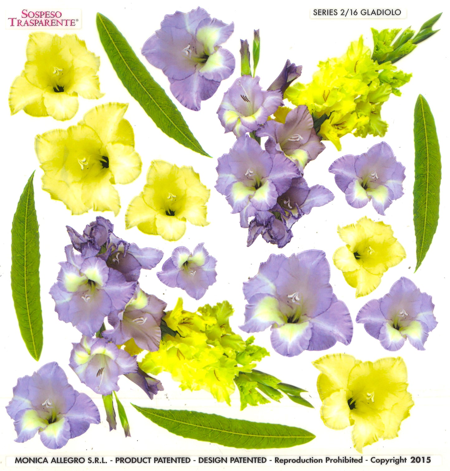 Sospeso Trasparente Pellicola Standard Serie 2 - 16 - Modello Gladiolo
