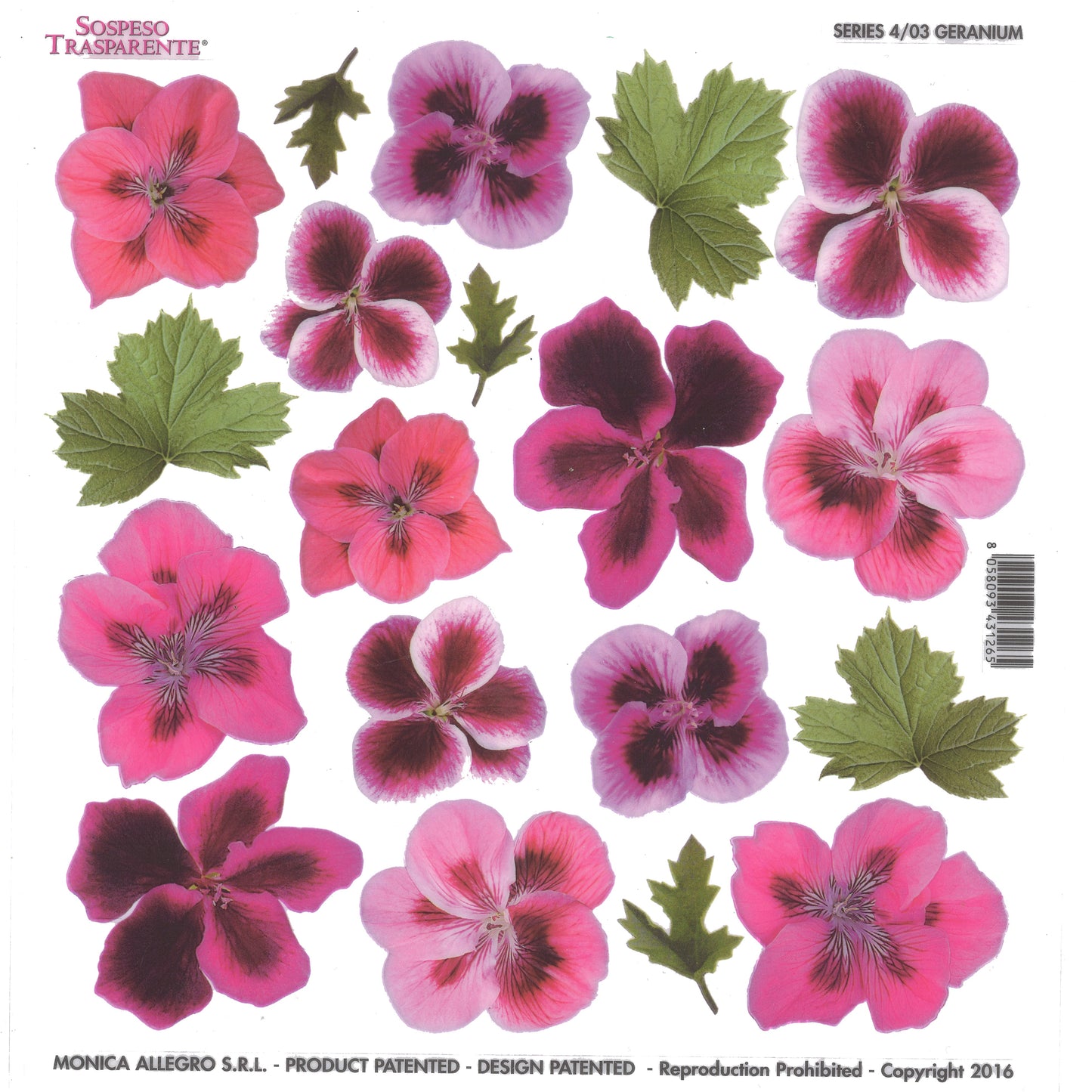 Sospeso Trasparente Pellicola Standard Serie 4 - 03 - Modello Geranium