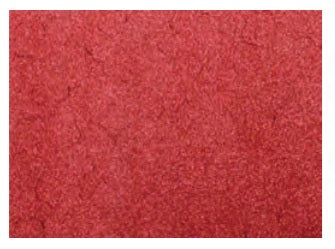 Renkalik Foglie in Feltro Peonie Rosso