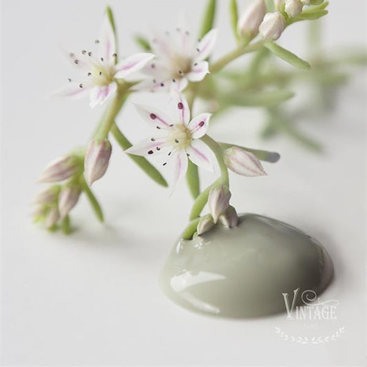 Vintage Paint Colore Moss Green 100 ml