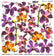 Sospeso Trasparente Pellicola 1/01 Gold Old Orchid