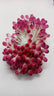 Stafil Mazzetto pistilli mini colorati Fucsia