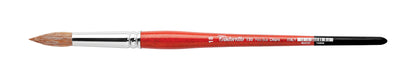 Tintoretto Pennello Pelo Bue Chiaro Serie 150 - VARIE MISURE -