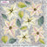 Sospeso Trasparente Pellicola 2/02 Olografica Poinsettia