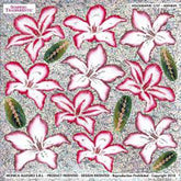 Sospeso Trasparente Pellicola 2/07 Olografica Adenium