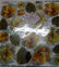 Sospeso Trasparente Pellicola Standard Serie 1 DOPPIA - 08B - Modello Yellow Primula + Primula Sirocco