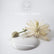 Vintage Paint Colore Antique Cream 100 ml