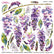 Sospeso Trasparente Pellicola 01 Double Wisteria
