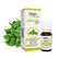 Gisa Welness Olio Essenziale Biologico Basilico 5 ml
