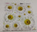 Sospeso Trasparente Pellicola Standard Serie 3 - 08 - Big Daisy