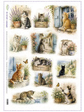 Idee Per Creare Carta di Riso 29,67x42 cm (A3) RIS-138 Gatti a Passeggio