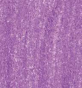 Lyra Matita Colorate Rembrandt Polycolor Colore L2000034 Magenta Scuro