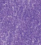 Lyra Matita Colorate Rembrandt Polycolor Colore L2000036 Violetto scuro