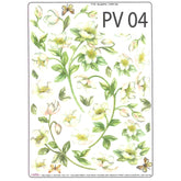 Sospeso Trasparente Paper Veil 04