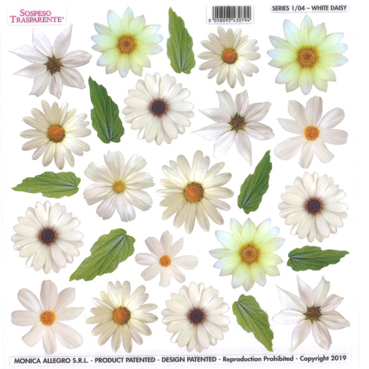 Sospeso Trasparente Pellicola Standard Serie 1 - 04 - Modello White Daisy