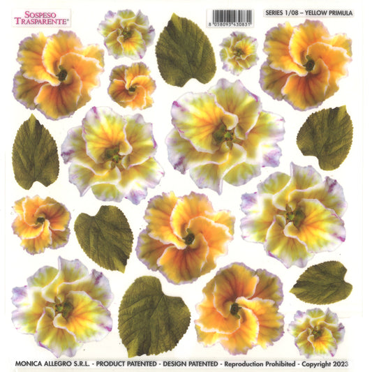 Sospeso Trasparente Pellicola Standard Serie 1 - 08B - Modello Yellow Primula