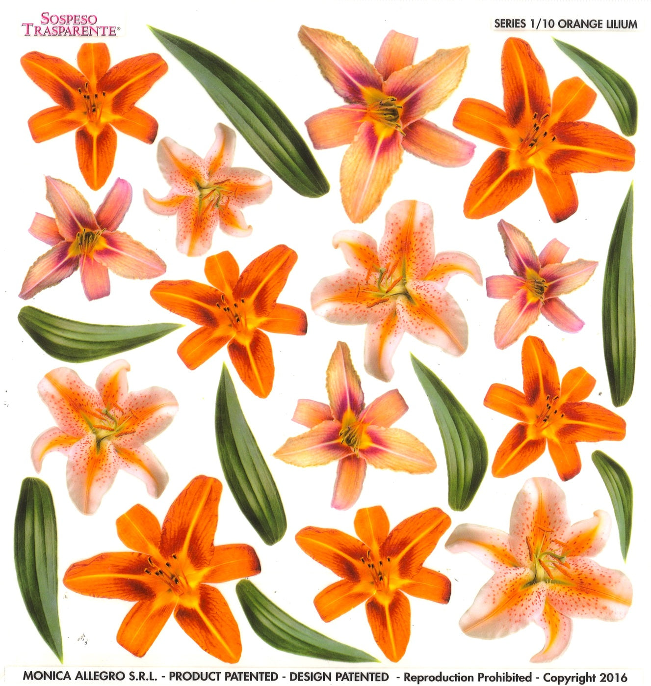 Sospeso Trasparente Pellicola Standard Serie 1 - 10 - Modello Orange Lilium