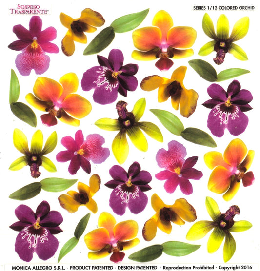 Sospeso Trasparente Pellicola Standard Serie 1 - 12 - Modello Colored Orchid