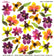 Sospeso Trasparente Pellicola Standard Serie 1 - 12 - Modello Colored Orchid