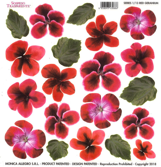 Sospeso Trasparente Pellicola Standard Serie 1 - 13 - Modello Red Geranium