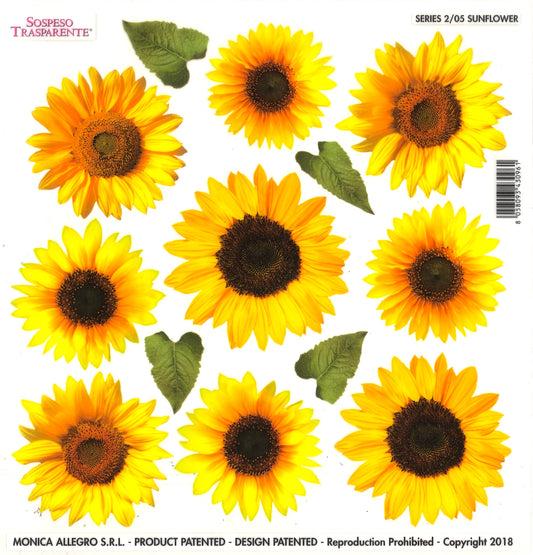 Sospeso Trasparente Pellicola Standard Serie 2 - 05 - Modello Sunflower