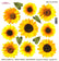 Sospeso Trasparente Pellicola Standard Serie 2 - 05 - Modello Sunflower