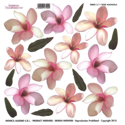 Sospeso Trasparente Pellicola Standard Serie 2 - 11 - Modello Rose Magnolia