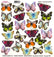 Sospeso Trasparente Pellicola Standard Serie 2 - 17 - Modello Colorful Butterfly