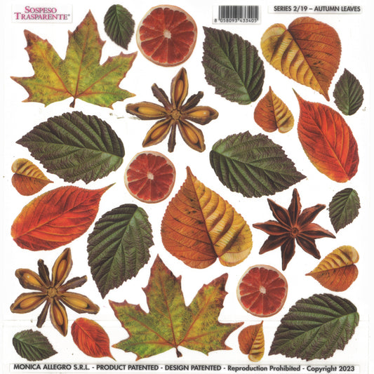 Sospeso Trasparente Pellicola Standard Serie 2 - 19 - Modello Autumn Leaves