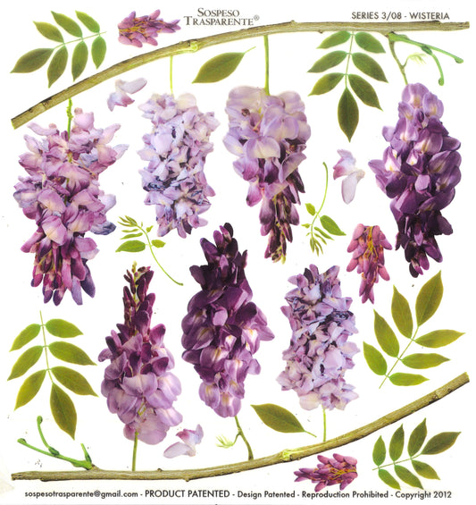 Sospeso Trasparente Pellicola Standard Serie 3 - 08 - Modello Wisteria