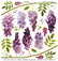 Sospeso Trasparente Pellicola Standard Serie 3 - 08 - Modello Wisteria