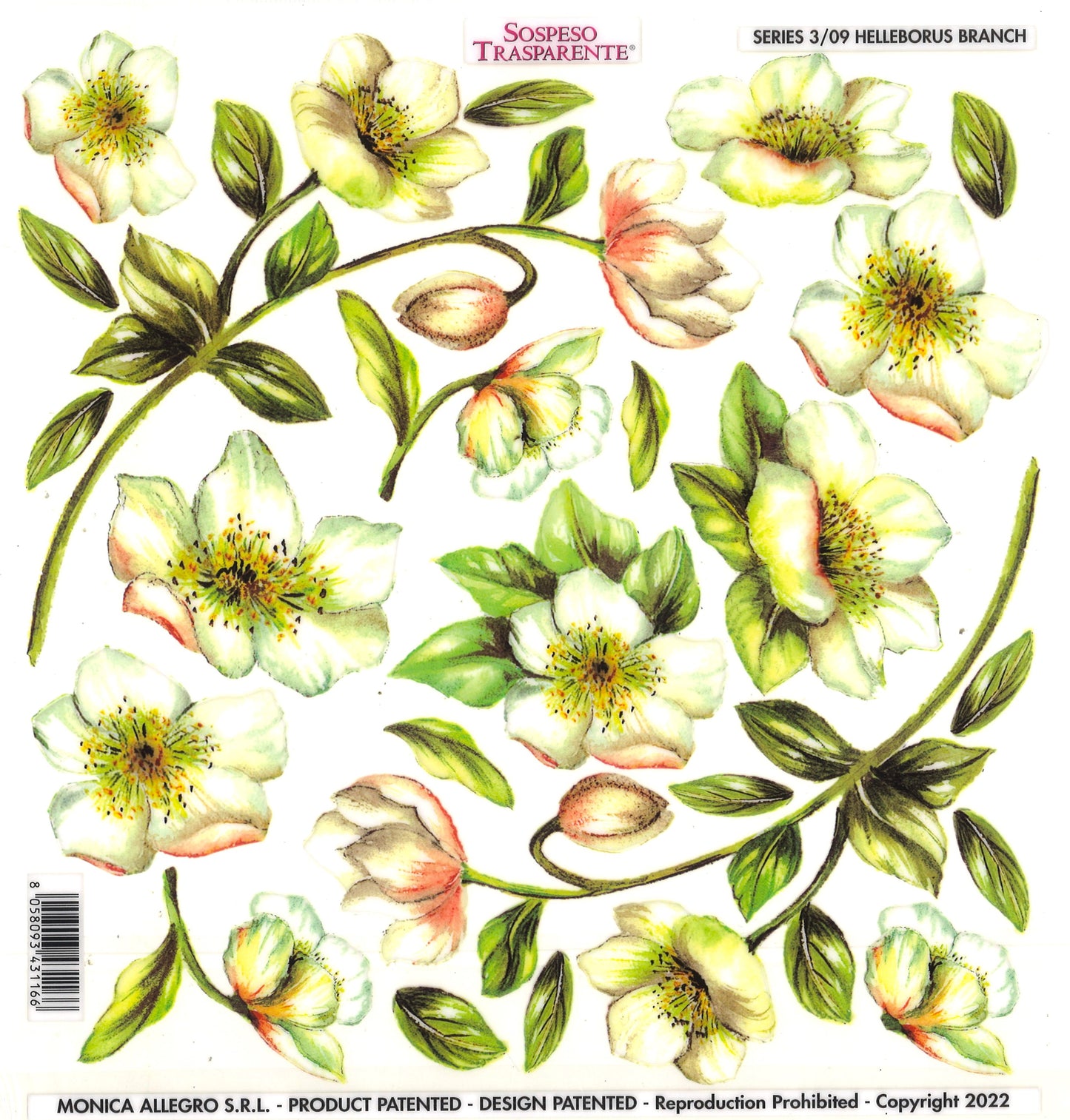 Sospeso Trasparente Pellicola Standard Serie 3 - 09 - Modello Helleborus Branch