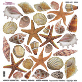 Sospeso Trasparente Pellicola Standard Serie 4 - 01 - Modello Shells