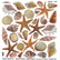 Sospeso Trasparente Pellicola Standard Serie 4 - 01 - Modello Shells
