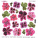Sospeso Trasparente Pellicola Standard Serie 4 - 03 - Modello Geranium