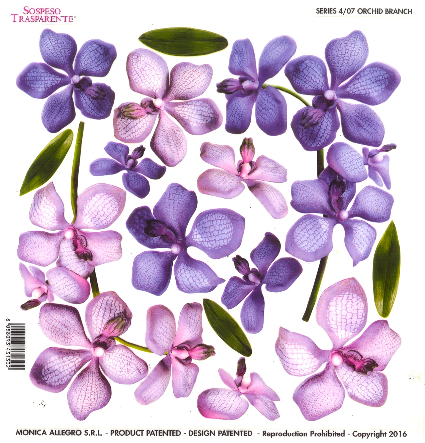 Sospeso Trasparente Pellicola Standard Serie 4 - 07 - Modello Branch Orchid