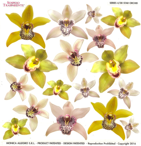 Sospeso Trasparente Pellicola Standard Serie 4 - 08 - Modello Star Orchid