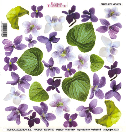 Sospeso Trasparente Pellicola Standard Serie 4 - 09 - Modello Violette