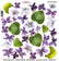 Sospeso Trasparente Pellicola Standard Serie 4 - 09 - Modello Violette