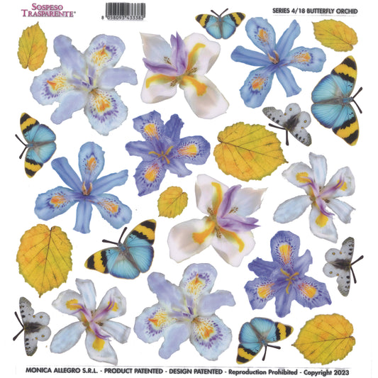 Sospeso Trasparente Pellicola Standard Serie 4 - 18 - Modello Butterfly Orchid