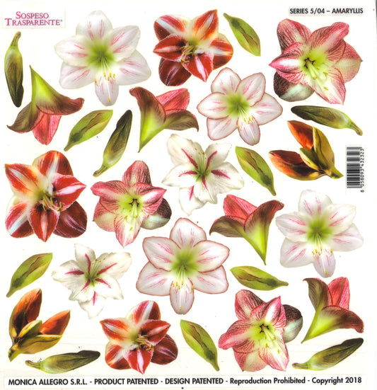 Sospeso Trasparente Pellicola Standard Serie 5 - 04 - Modello Amaryllis