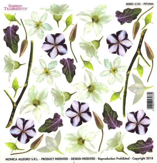 Sospeso Trasparente Pellicola Standard Serie 5 - 05 - Modello Petunia