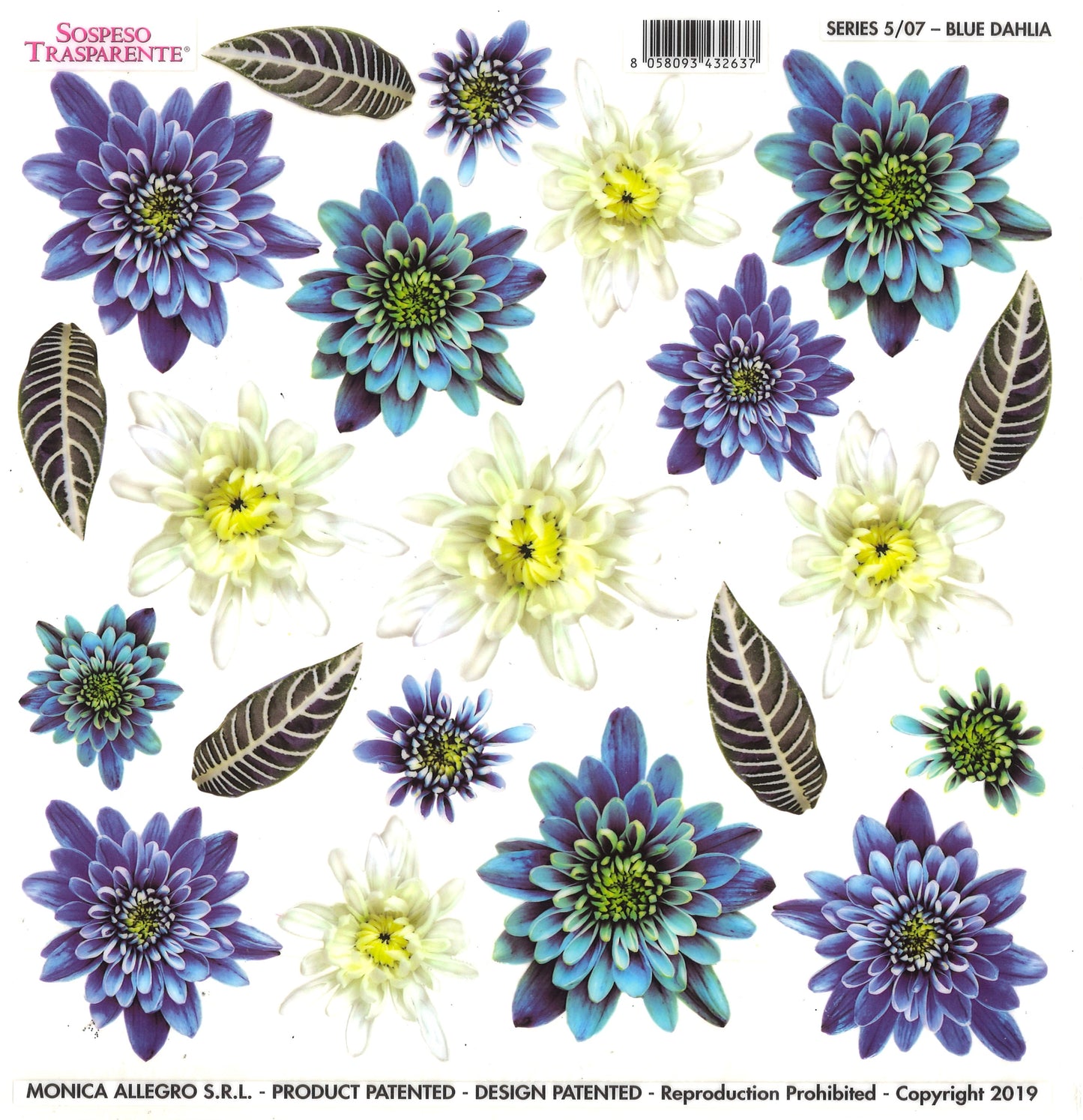 Sospeso Trasparente Pellicola Standard Serie 5 - 07 - Modello Blue Dahlia