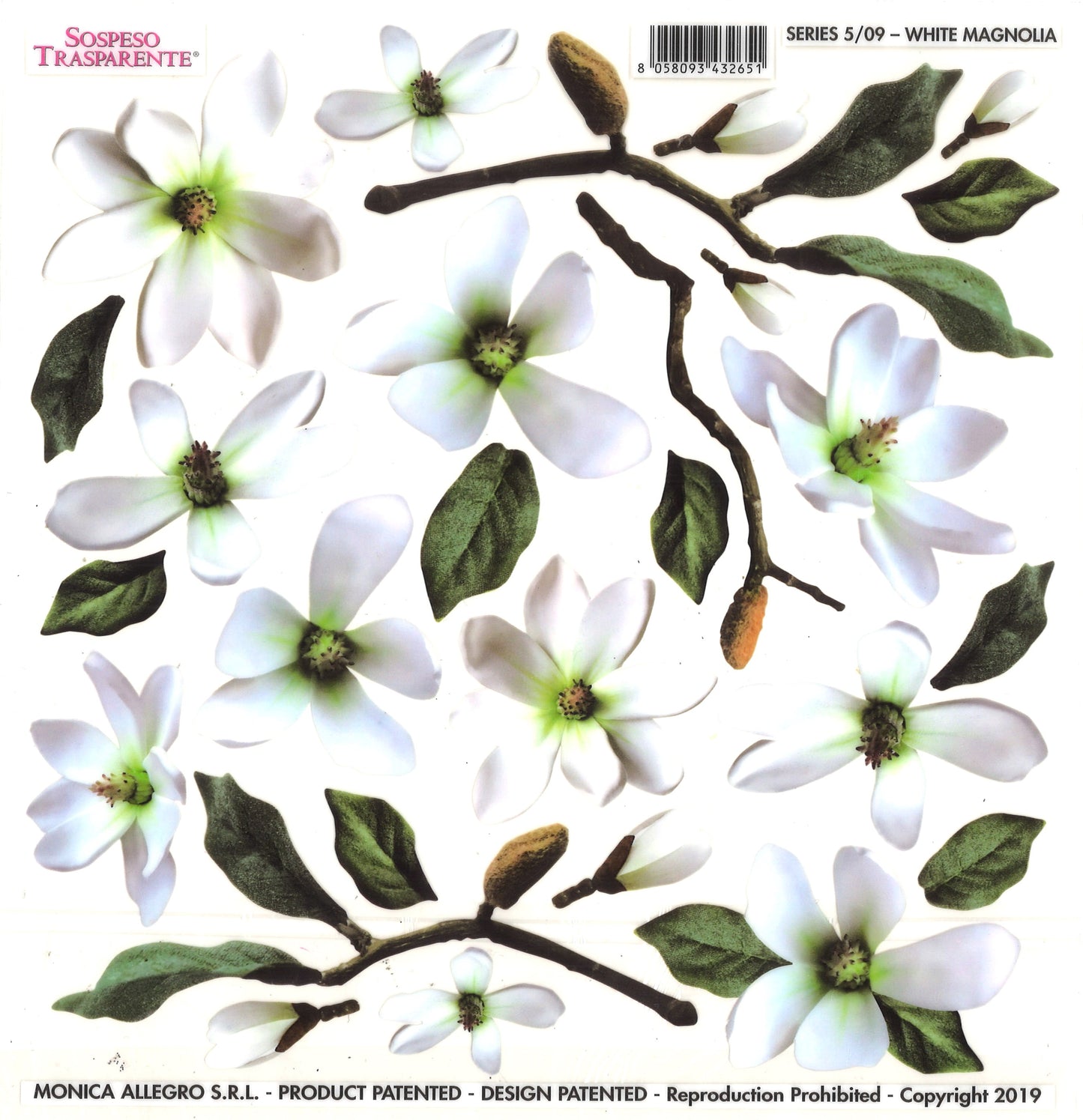 Sospeso Trasparente Pellicola Standard Serie 5 - 09 - Modello White Magnolia