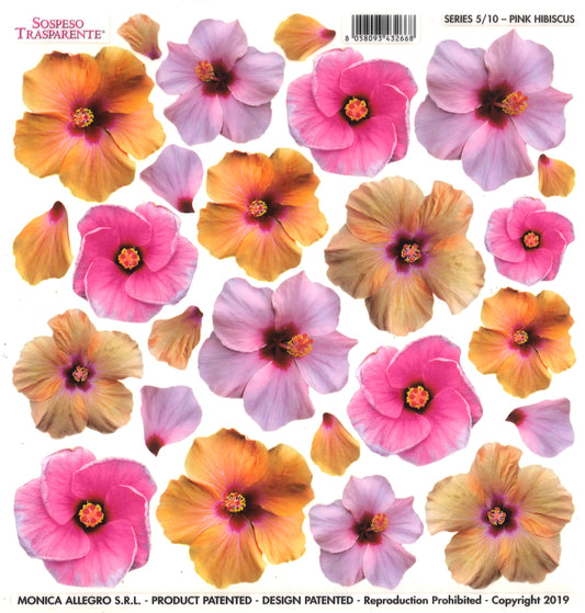 Sospeso Trasparente Pellicola Standard Serie 5 - 10 - Modello Pink Hibiscus